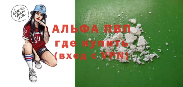 спиды Гусев