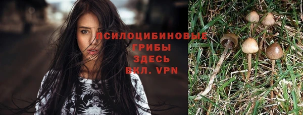 скорость mdpv Горняк